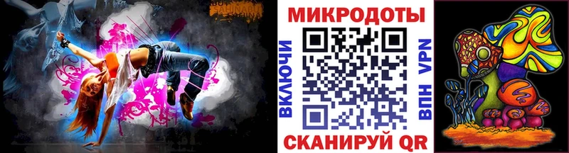 Галлюциногенные грибы Cubensis  Камень-на-Оби 