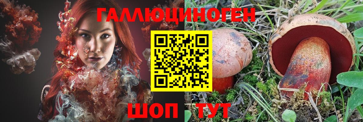 Псилоцибиновые грибы Psilocybine cubensis  купить   Камень-на-Оби  Галлюциногенные грибы прущие грибы 