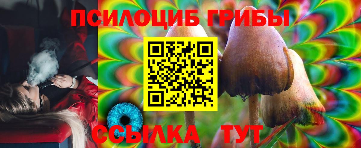 Галлюциногенные грибы Psilocybe  Псилоцибиновые грибы мухоморы  Вход с VPN  Камень-на-Оби 